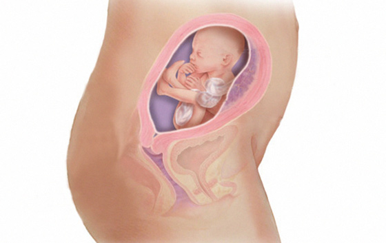 Εφίδρωση κατά τη διάρκεια της 21ης εβδομάδας κύησης, εγκυμοσύνης