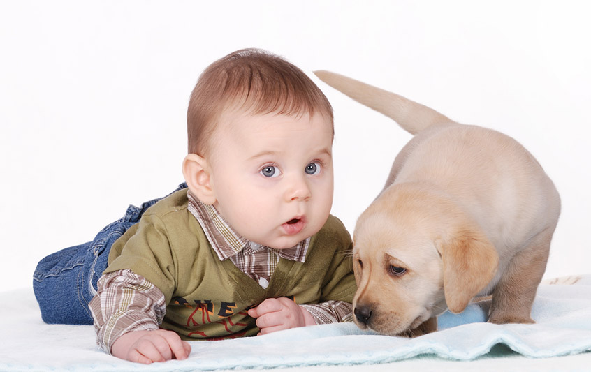 Η πρώτη συνάντηση νεογέννητου και σκύλου
