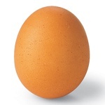yellow-egg
